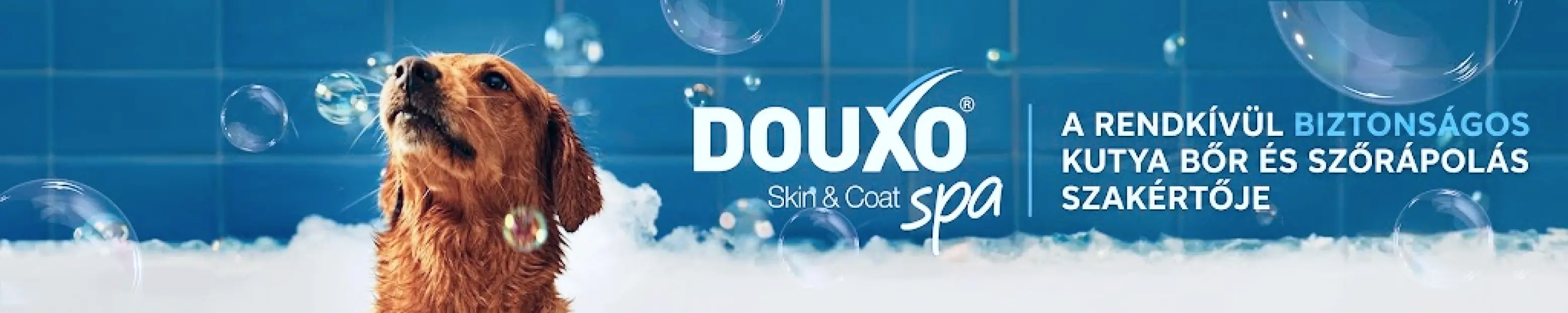 DOUXO Skin & Coat spa — a rendkívül biztonságos kutya bőr- és szőrápolás szakértője
