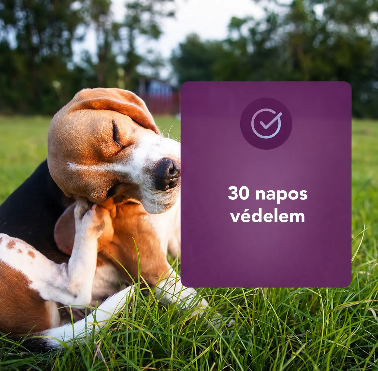 Vectra 3D előny